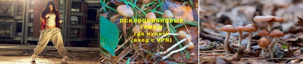 эйфоретик Абинск