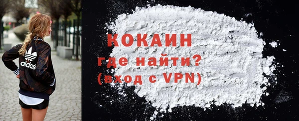 прущие грибы Пенза