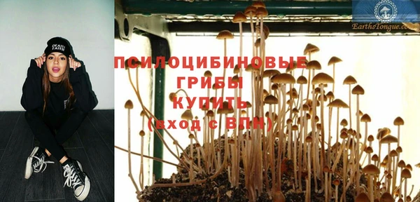 соль ск Михайловка