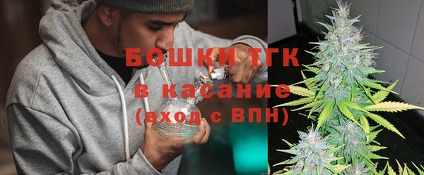 индика Михайловск
