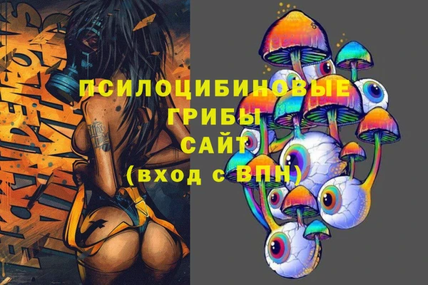 эйфоретик Абинск