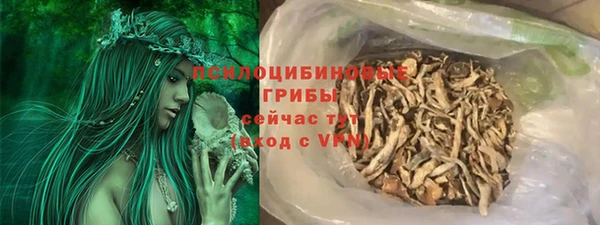 индика Михайловск
