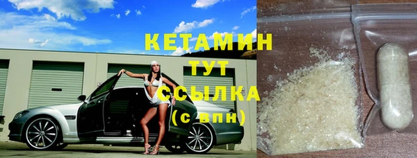 индика Михайловск